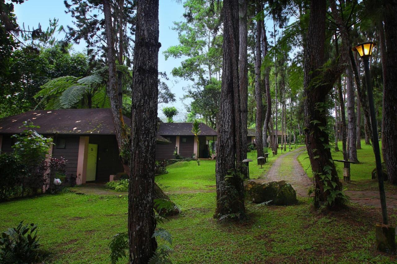 Eden Nature Park And Resort Davao Exterior photo